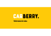 CARBERRY
