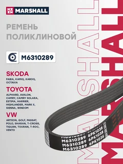 Ремень поликлиновой