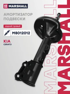 Амортизатор | зад прав |