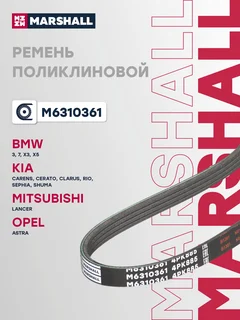 Ремень поликлиновой