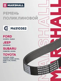 Ремень поликлиновой