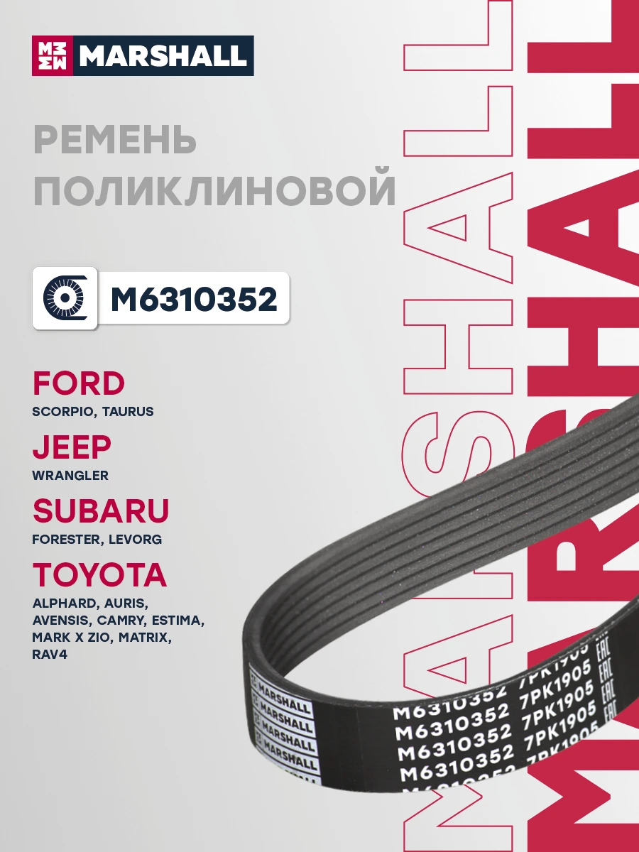 Ремень поликлиновой · MARSHALL M6310352