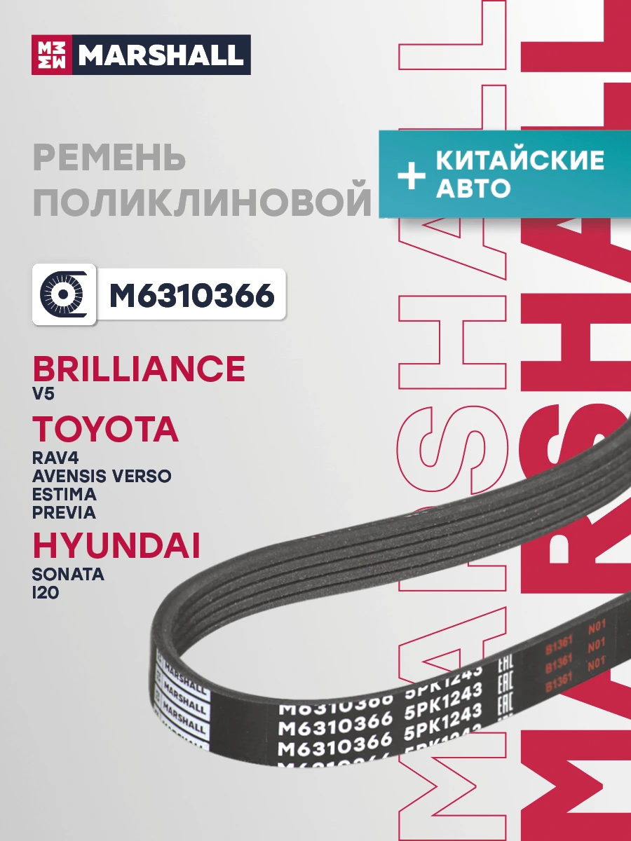 Ремень поликлиновой · MARSHALL M6310366