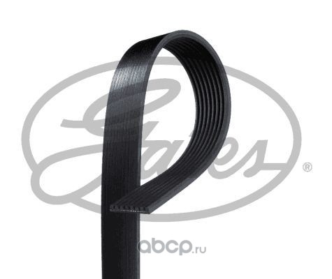 Ремень поликлиновой · GATES 8PK2410