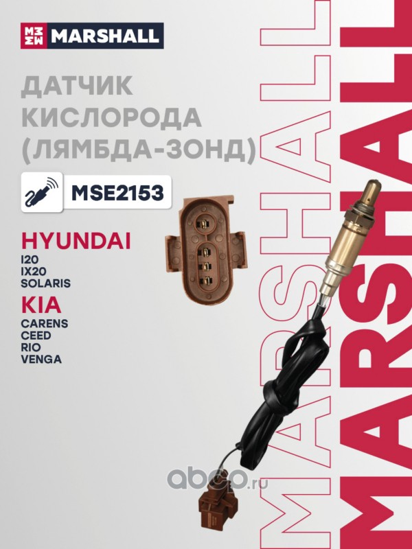 Датчик кислорода (Лямбдазонд)