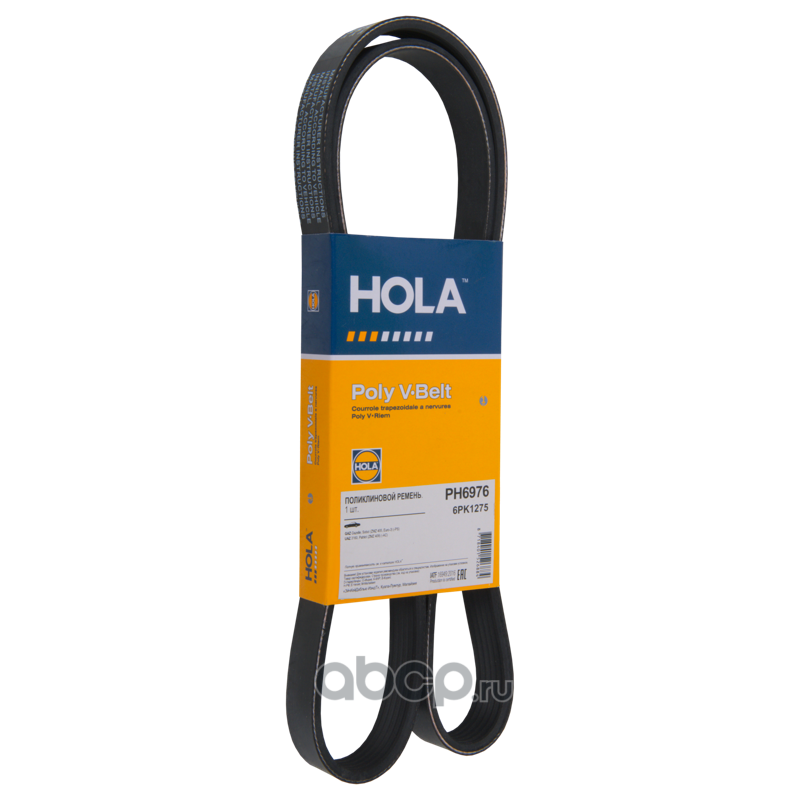 Ремень Поликлиновой · HOLA PH6976