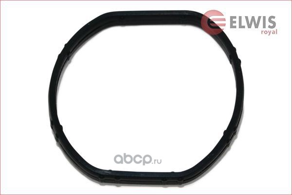 Seal / Gasket