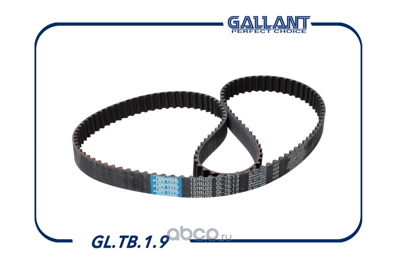Ремень ГРМ · GALLANT GLTB19