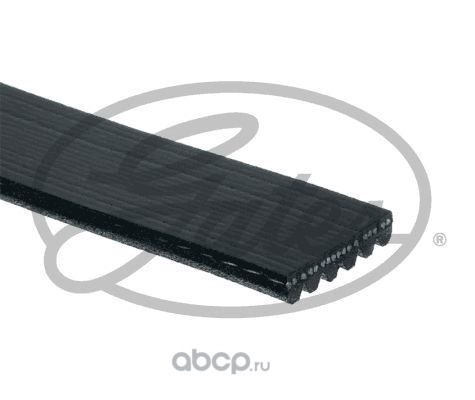 Ремень поликлиновой · GATES 6PK1230