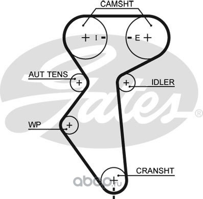 127x25 Ремень ГРМ