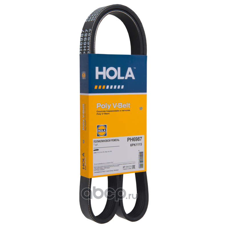Ремень Поликлиновой · HOLA PH6987