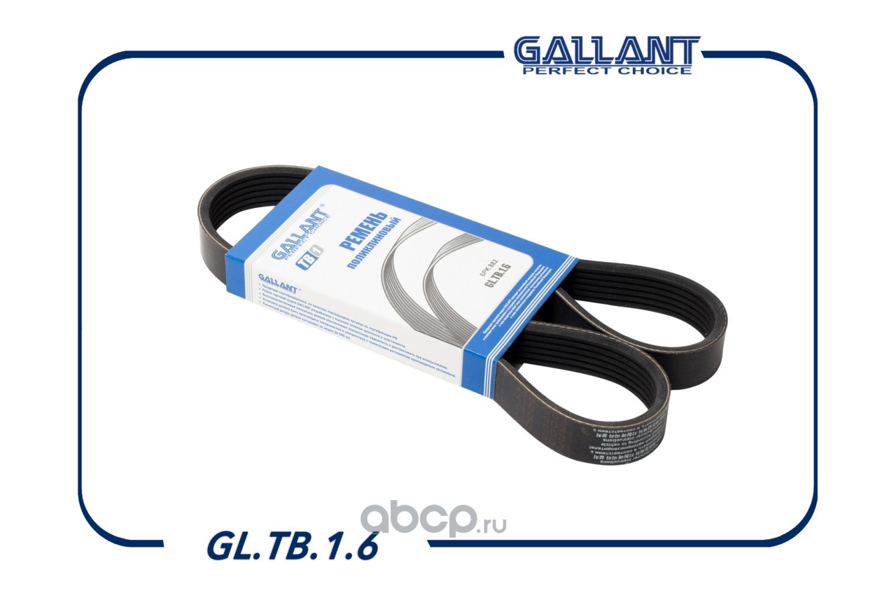 Ремень поликлиновой · GALLANT GLTB16