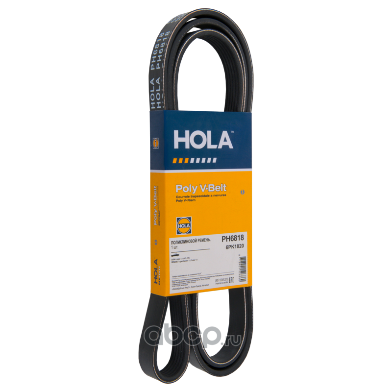 Ремень Поликлиновой · HOLA PH6818