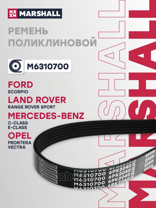Ремень поликлиновой · MARSHALL M6310700