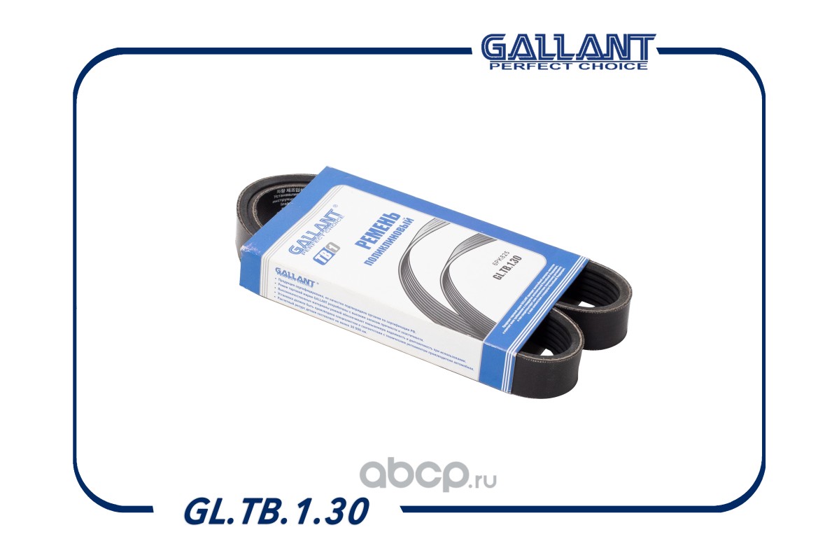 Ремень поликлиновой · GALLANT GLTB130