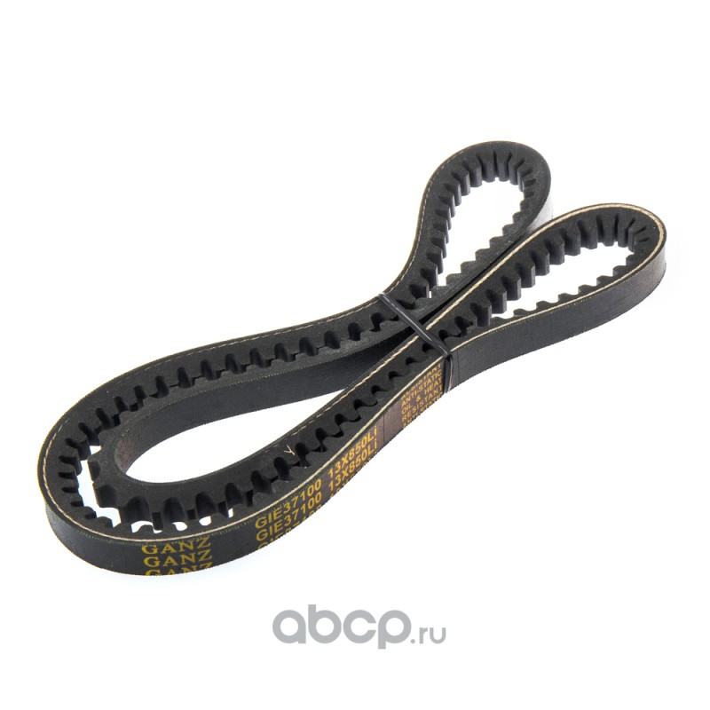 Ремень клиновой 13X865 AUDI/FORD/FIAT/MAZDA/LAND ROVER · GANZ GIE37100
