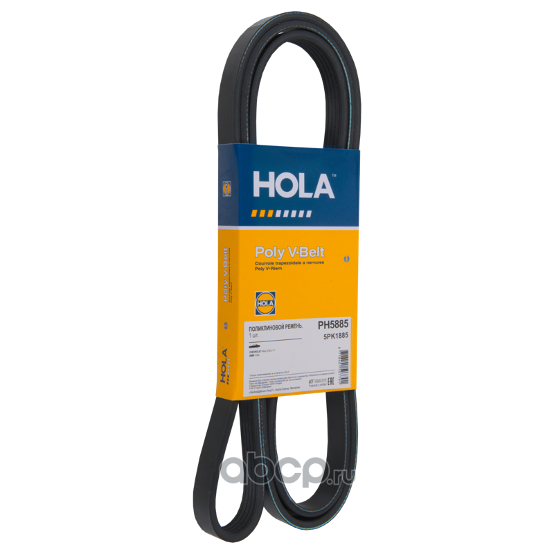 Ремень Поликлиновой · HOLA PH5885