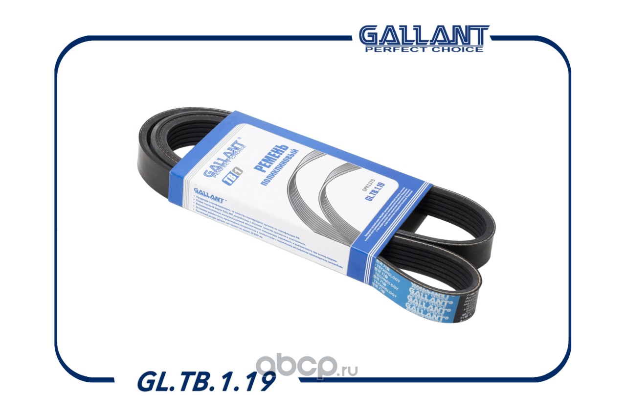 Ремень поликлиновой · GALLANT GLTB119