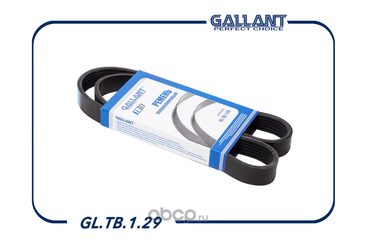 Ремень поликлиновой · GALLANT GLTB129